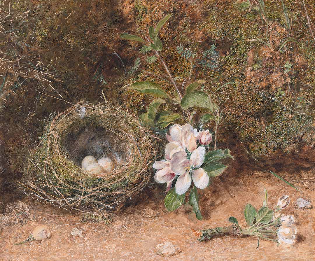 Birds Nest with Apple Blossoms | Paper