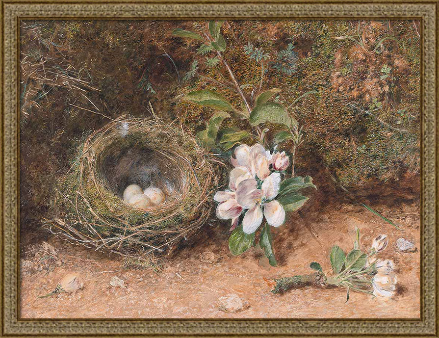 Birds Nest with Apple Blossoms | Paper