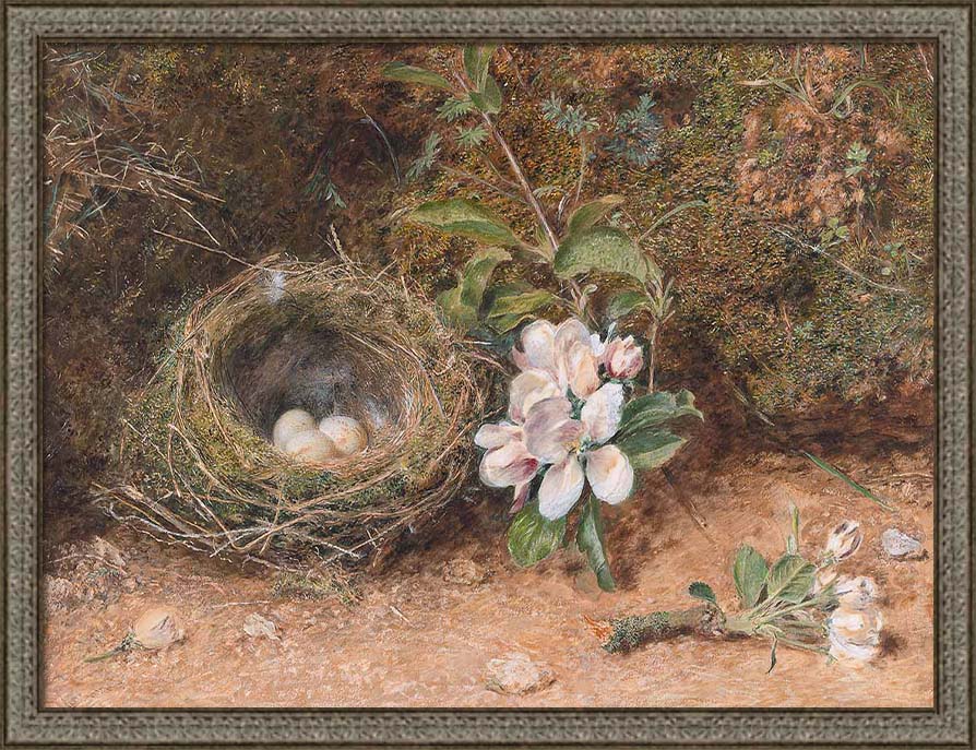 Birds Nest with Apple Blossoms | Paper