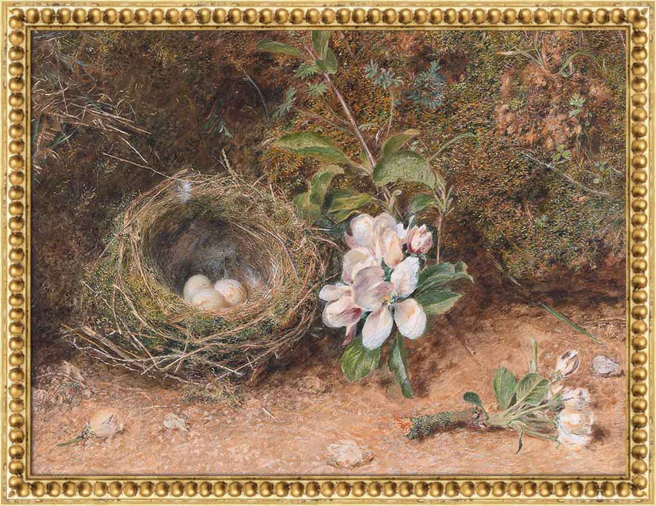 Birds Nest with Apple Blossoms | Paper