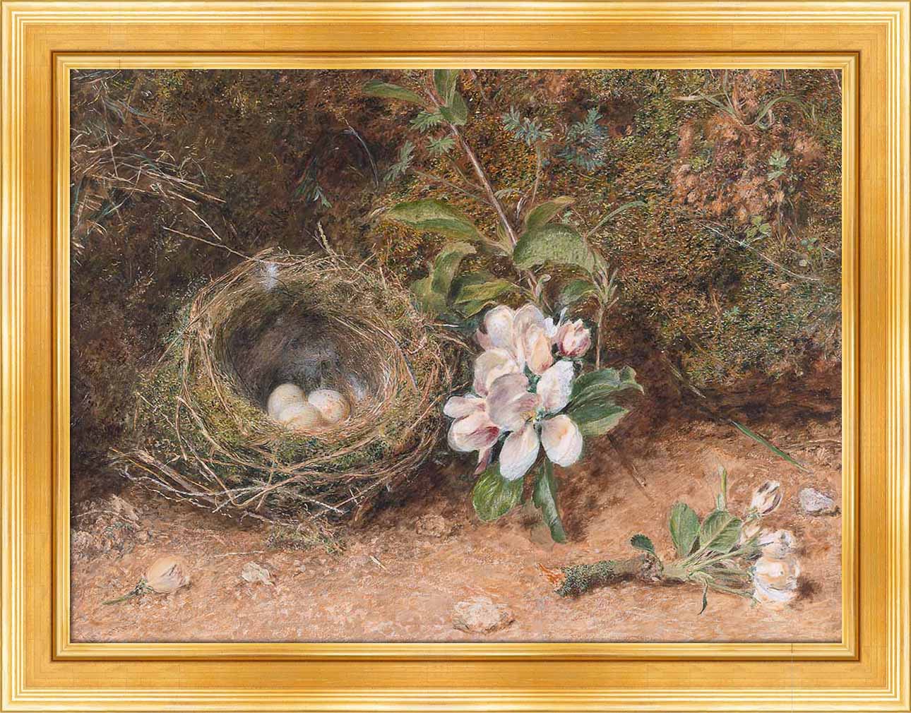 Birds Nest with Apple Blossoms | Paper