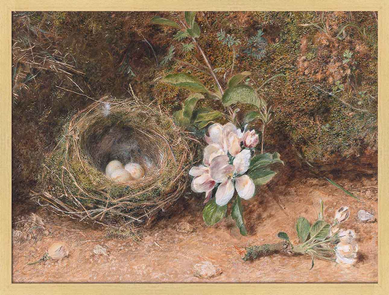 Birds Nest with Apple Blossoms | Paper