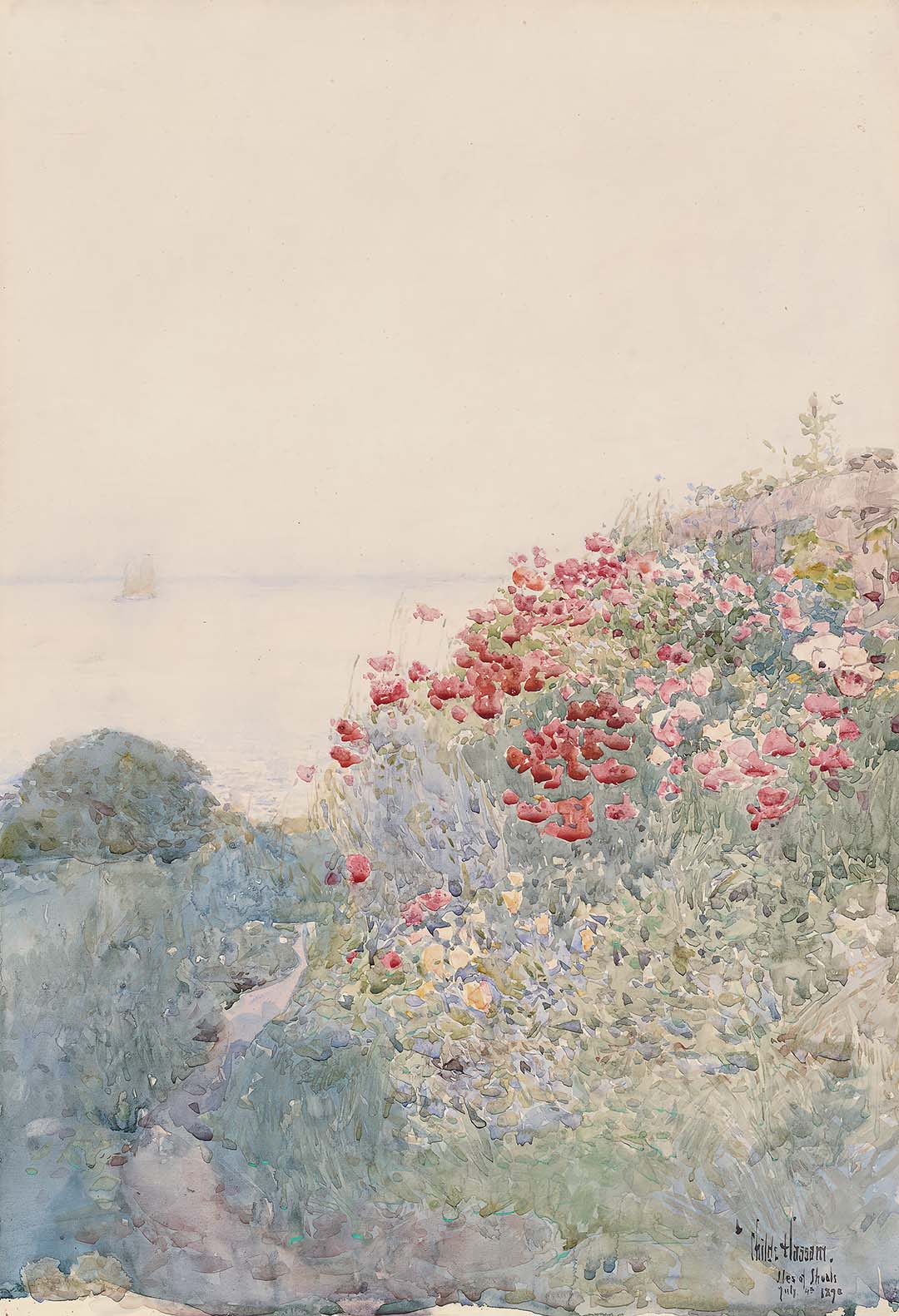Field of Poppies | Paper