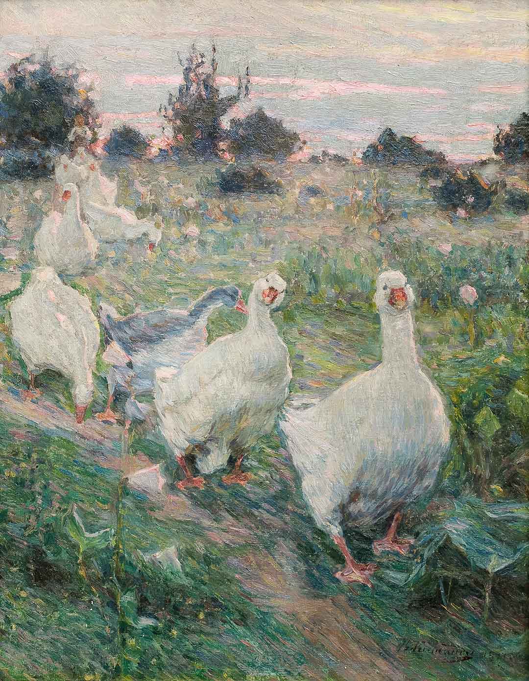 Geese | Paper