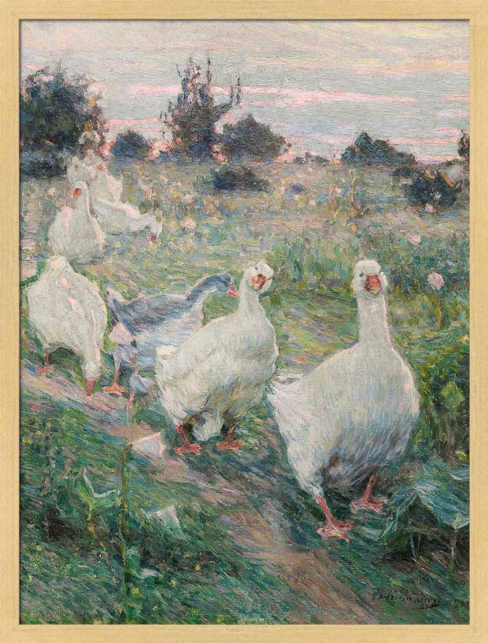 Geese | Paper