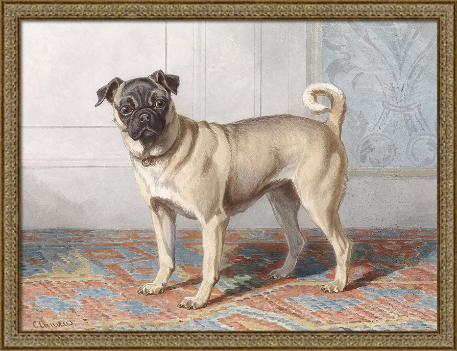 Portrait of the Pug | Paper
