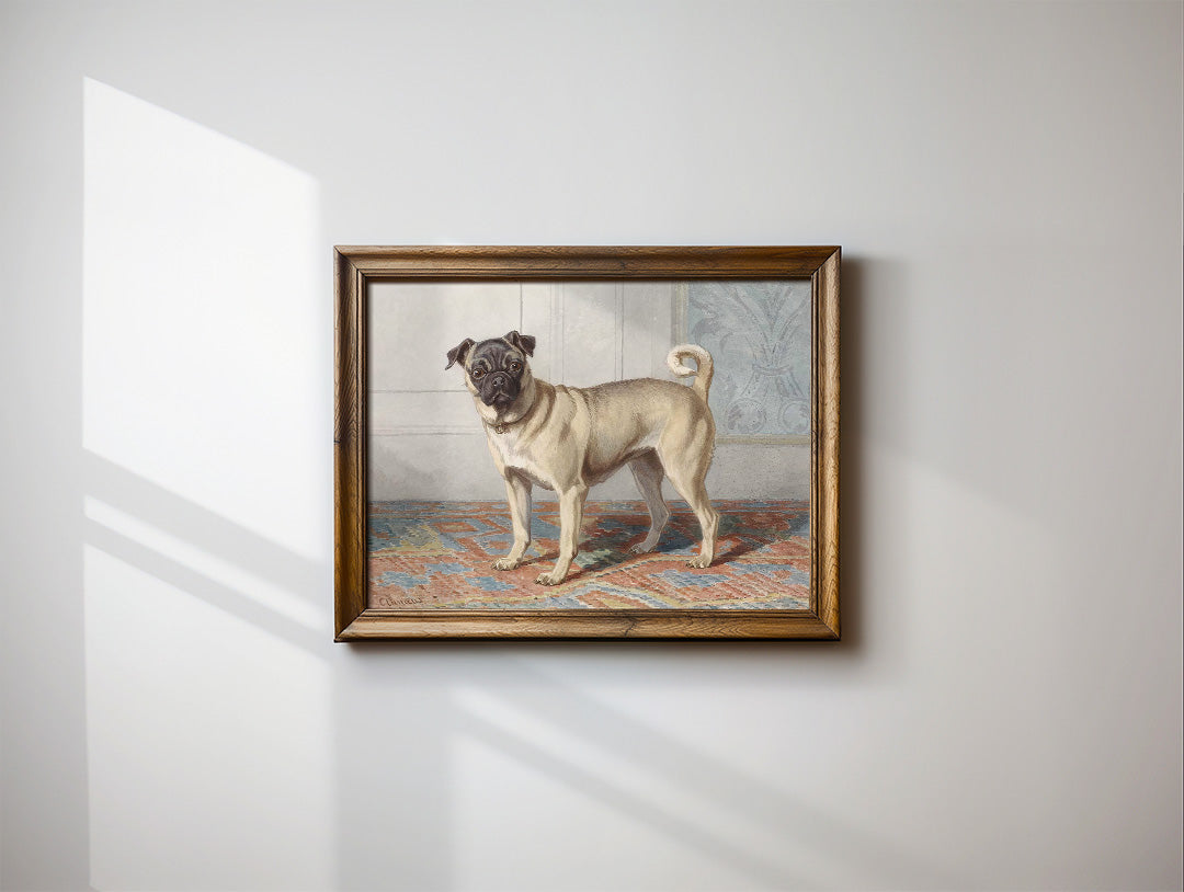 Portrait of the Pug | Paper