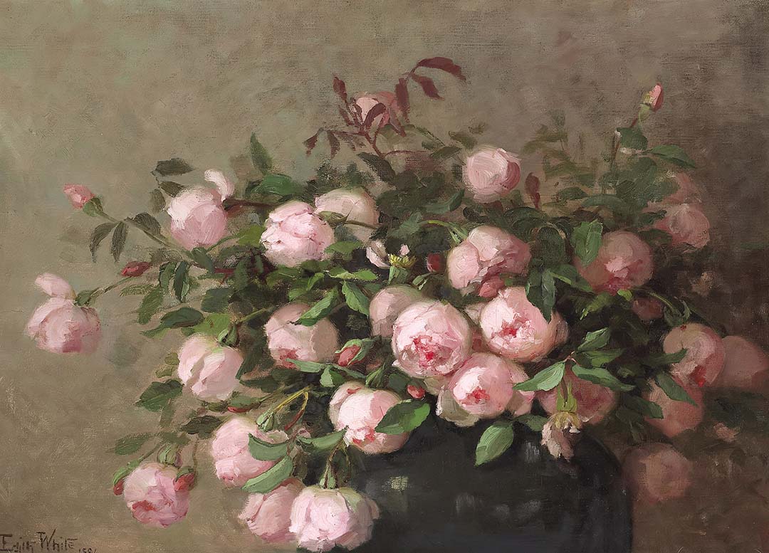 Roses | Paper